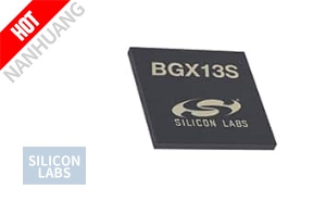 BGX13S22GA-V21